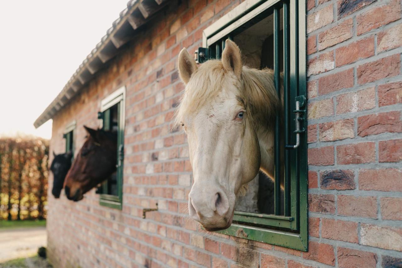 De Dommelhoeve Peer Exteriér fotografie