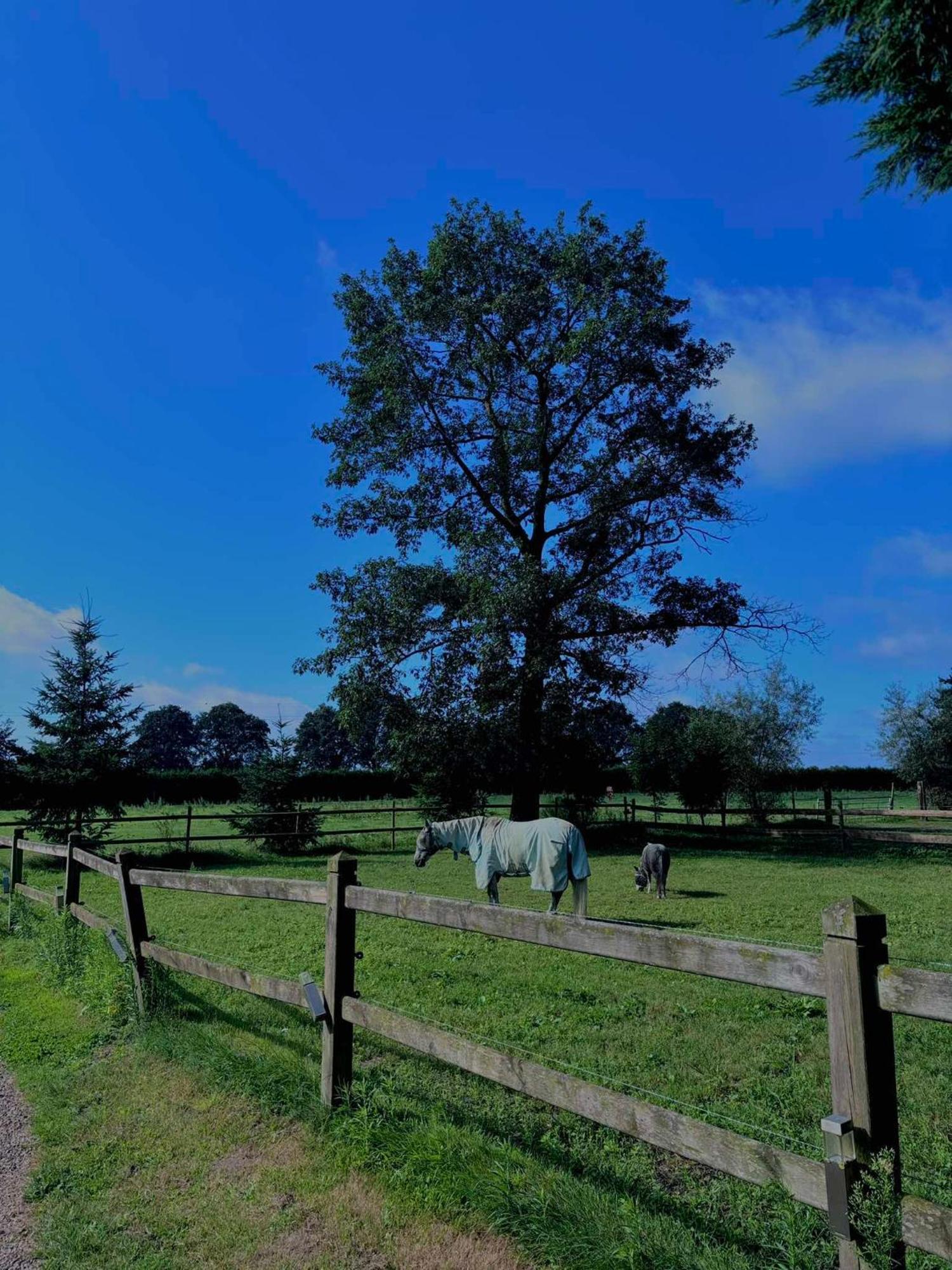 De Dommelhoeve Peer Exteriér fotografie