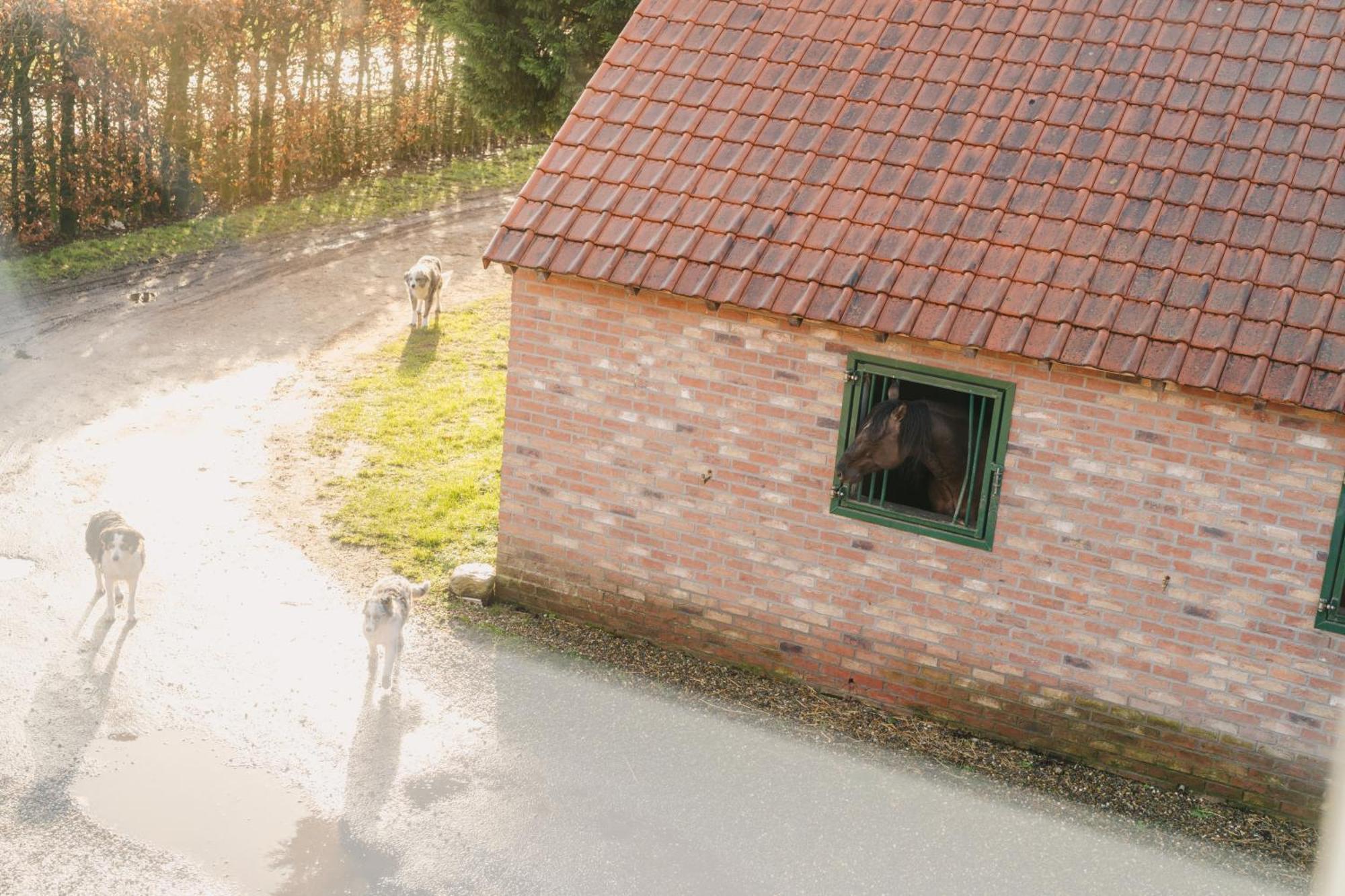 De Dommelhoeve Peer Exteriér fotografie